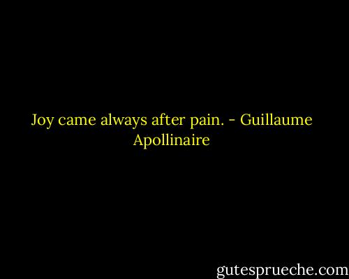 Joy came always after pain. - Guillaume Apollinaire