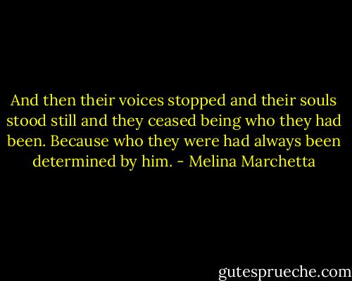And then their voices stopped and their souls stood still and they ceased being who they had been. Because who they were had always been determined by him. - Melina Marchetta