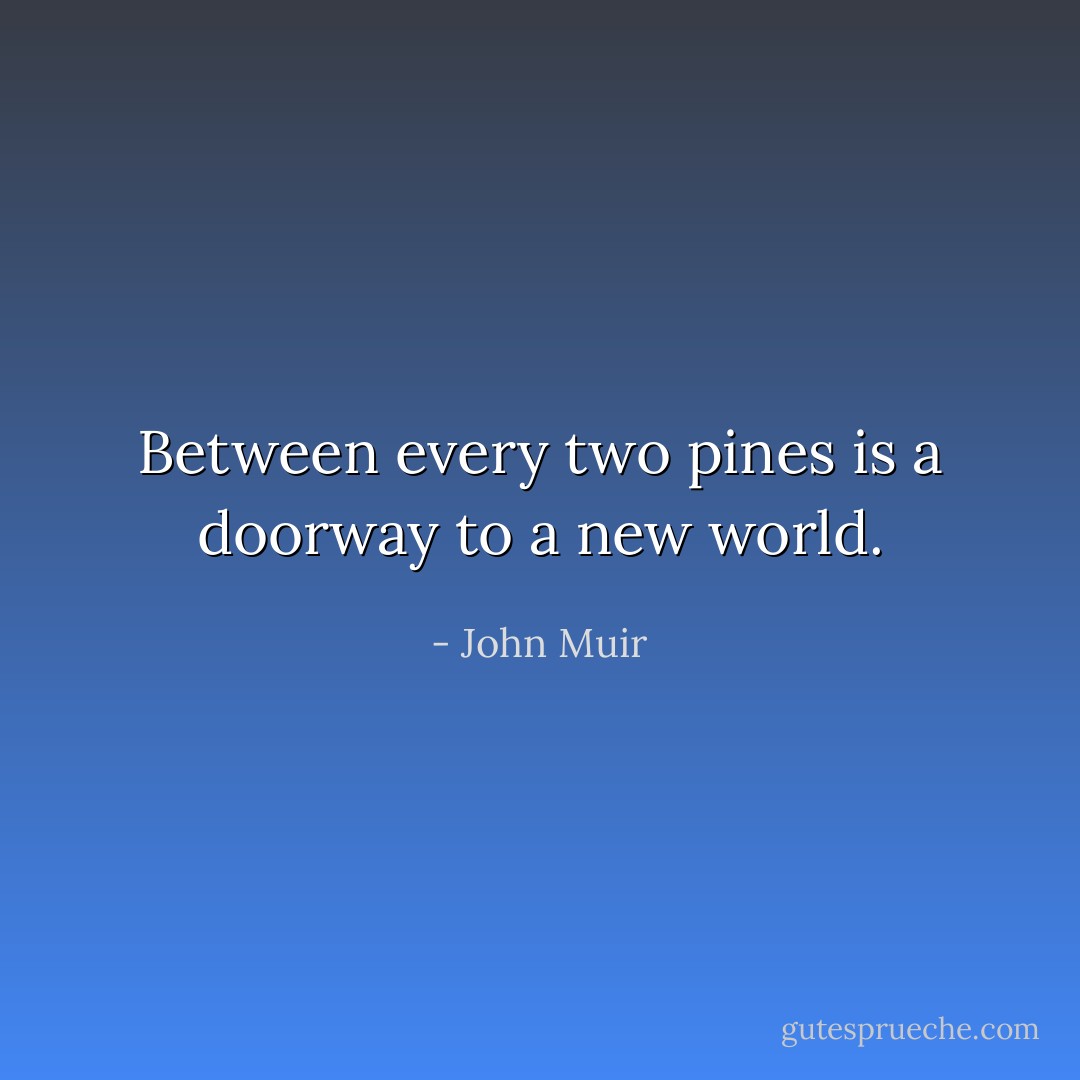 Between every two pines is a doorway to a new world. - John Muir