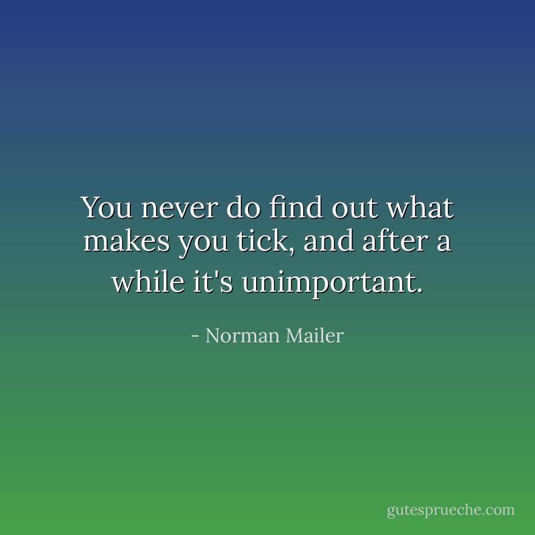 You never do find out what makes you tick, and after a while it's unimportant. - Norman Mailer
