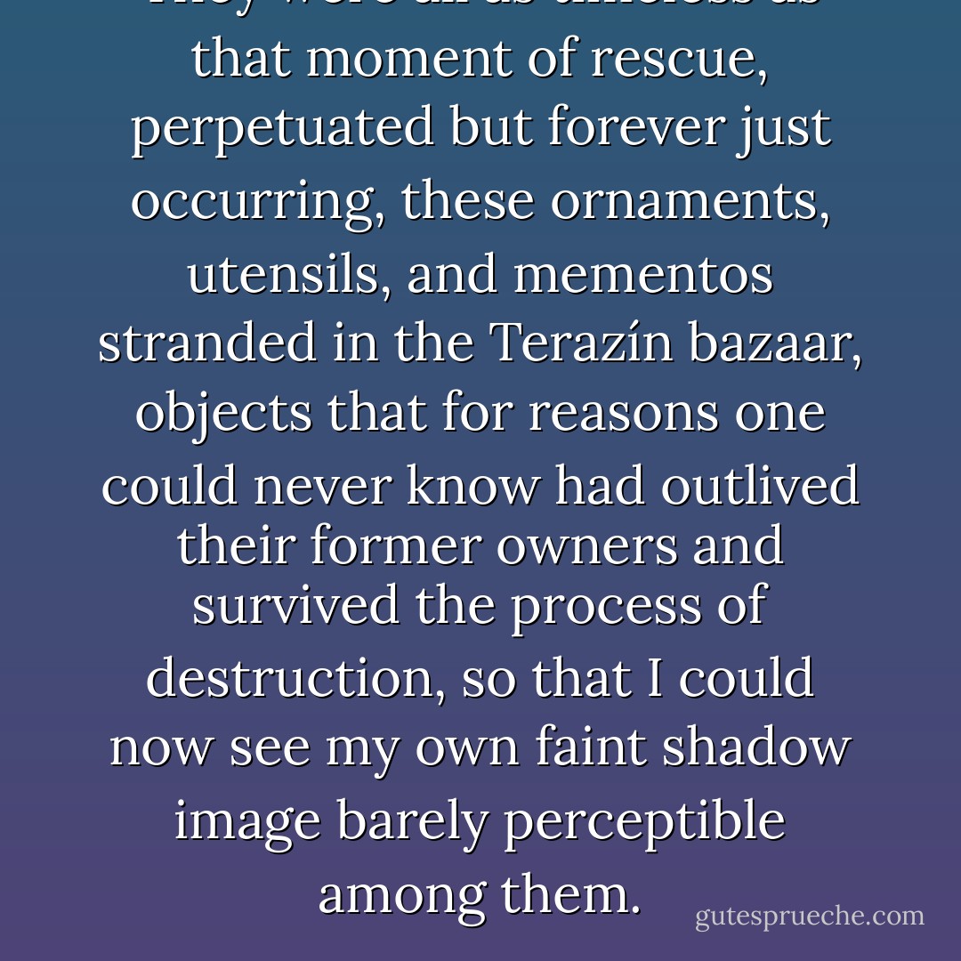 They were all as timeless as that moment of rescue, perpetuated but forever just occurring, these ornaments, utensils, and mementos stranded in the Terazín bazaar, objects that for reasons one could never know had outlived their former owners and survived the process of destruction, so that I could now see my own faint shadow image barely perceptible among them. - W.G. Sebald