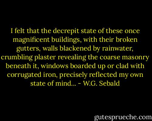 I felt that the decrepit state of these once magnificent buildings, with their broken gutters, walls blackened by rainwater, crumbling plaster revealing the coarse masonry beneath it, windows boarded up or clad with corrugated iron, precisely reflected my own state of mind... - W.G. Sebald