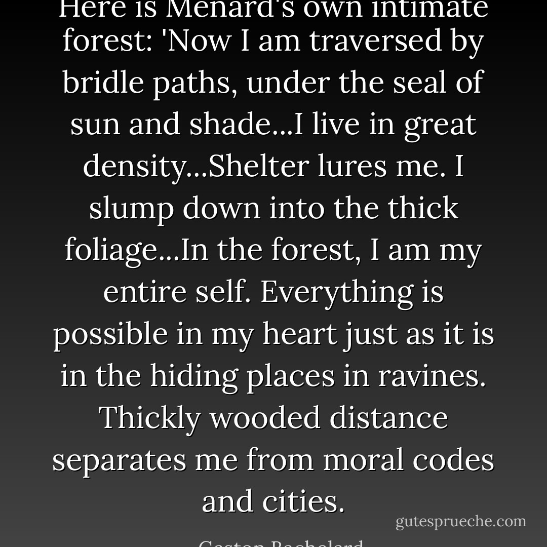 Here is Menard's own intimate forest: 'Now I am traversed by bridle paths, under the seal of sun and shade...I live in great density...Shelter lures me. I slump down into the thick foliage...In the forest, I am my entire self. Everything is possible in my heart just as it is in the hiding places in ravines. Thickly wooded distance separates me from moral codes and cities. - Gaston Bachelard