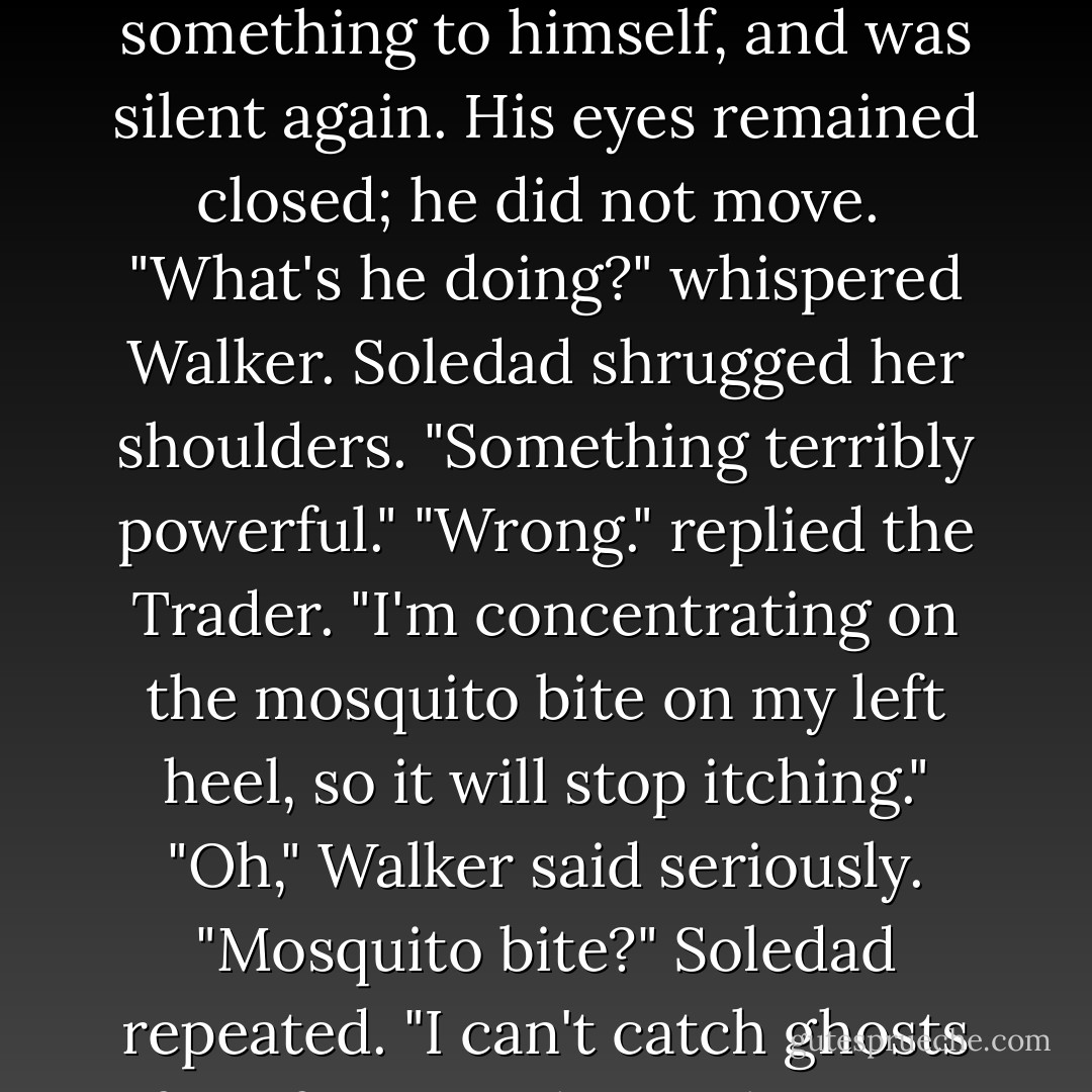 The Trader held the ring horizontal and let the fingertips of his right hand circle over it. As he did so, he closed his eyes, murmured something to himself, and was silent again. His eyes remained closed; he did not move. <br />"What's he doing?" whispered Walker.<br />Soledad shrugged her shoulders. "Something terribly powerful."<br />"Wrong." replied the Trader. "I'm concentrating on the mosquito bite on my left heel, so it will stop itching."<br />"Oh," Walker said seriously.<br />"Mosquito bite?" Soledad repeated.<br />"I can't catch ghosts if my foot is itching. I beg you for a little more understanding."<br />"But of course," Walker said spitefully. - Kai Meyer