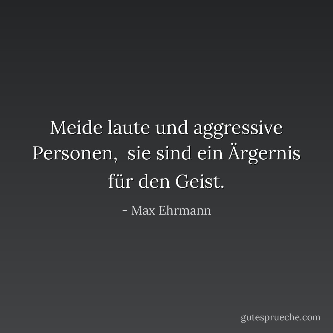 Meide laute und aggressive Personen, <br />sie sind ein Ärgernis für den Geist. - Max Ehrmann<