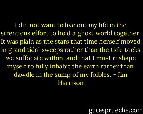 I did not want to live out my life in the strenuous effort to hold a ghost world together. It was plain as the stars that time herself moved in grand tidal sweeps rather than the tick-tocks we suffocate within, and that I must reshape myself to fully inhabit the earth rather than dawdle in the sump of my foibles. - Jim Harrison