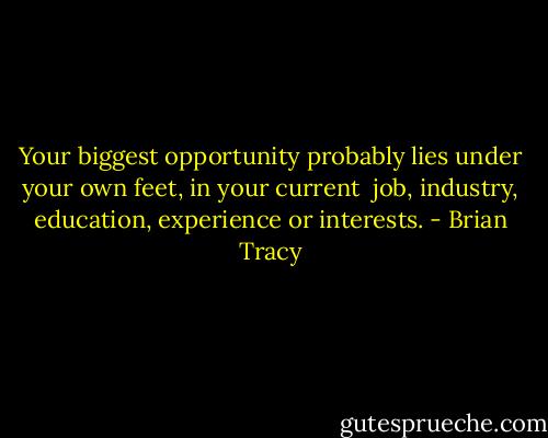 Your biggest opportunity probably lies under your own feet, in your current <br />job, industry, education, experience or interests. - Brian Tracy