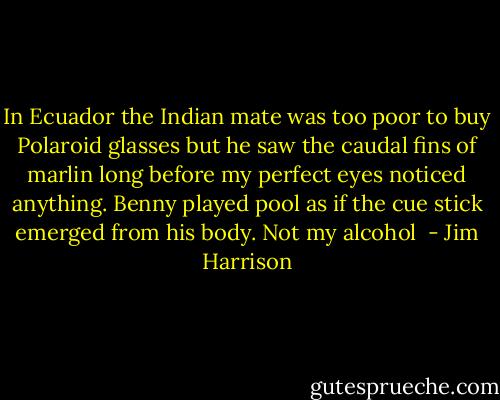 In Ecuador the Indian mate was too poor to buy Polaroid glasses but he saw the caudal fins of marlin long before my perfect eyes noticed anything. Benny played pool as if the cue stick emerged from his body. Not my alcohol  - Jim Harrison