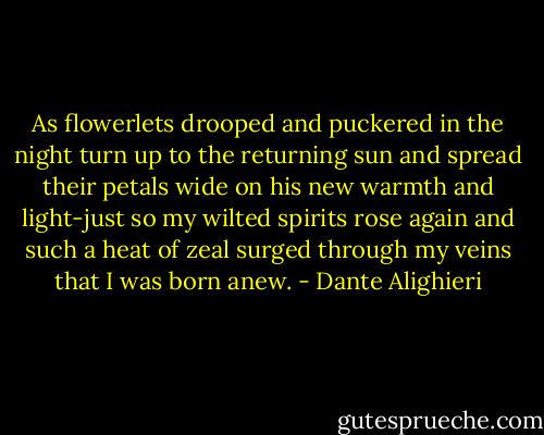 As flowerlets drooped and puckered in the night turn up to the returning sun and spread their petals wide on his new warmth and light-just so my wilted spirits rose again and such a heat of zeal surged through my veins that I was born anew. - Dante Alighieri