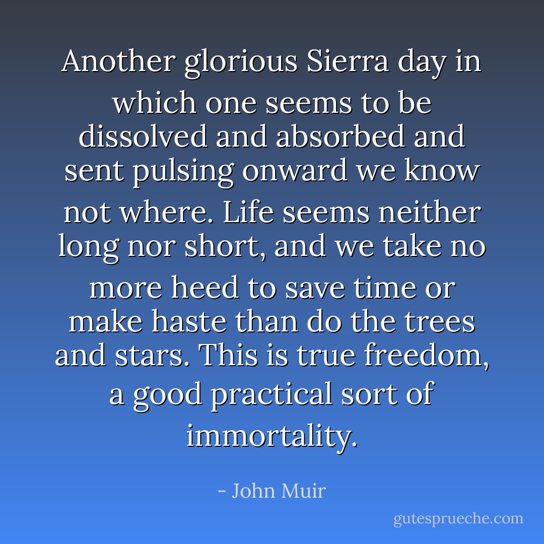 Another glorious Sierra day in which one seems to be dissolved and absorbed and sent pulsing onward we know not where. Life seems neither long nor short, and we take no more heed to save time or make haste than do the trees and stars. This is true freedom, a good practical sort of immortality. - John Muir