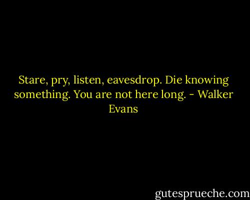 Stare, pry, listen, eavesdrop. Die knowing something. You are not here long. - Walker Evans