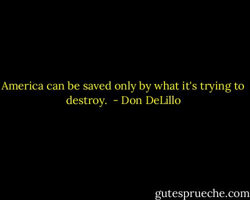 America can be saved only by what it's trying to destroy.  - Don DeLillo