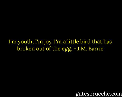 I'm youth, I'm joy, I'm a little bird that has broken out of the egg. - J.M. Barrie