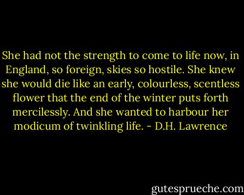 She had not the strength to come to life now, in England, so foreign, skies so hostile. She knew she would die like an early, colourless, scentless flower that the end of the winter puts forth<br />mercilessly. And she wanted to harbour her modicum of twinkling life. - D.H. Lawrence