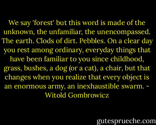 We say 'forest' but this word is made of the unknown, the unfamiliar, the unencompassed. The earth. Clods of dirt. Pebbles. On a clear day you rest among ordinary, everyday things that have been familiar to you since childhood, grass, bushes, a dog (or a cat), a chair, but that changes when you realize that every object is an enormous army, an inexhaustible swarm. - Witold Gombrowicz