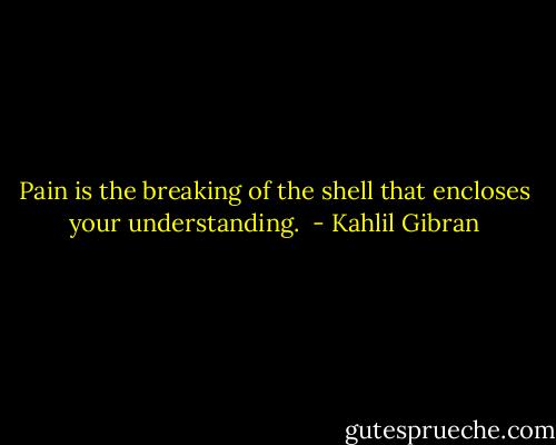 Pain is the breaking of the shell that encloses your understanding.  - Kahlil Gibran