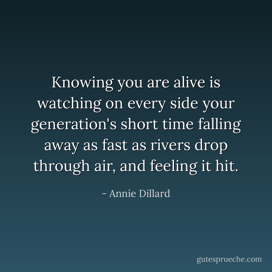 Knowing you are alive is watching on every side your generation's short time falling away as fast as rivers drop through air, and feeling it hit. - Annie Dillard