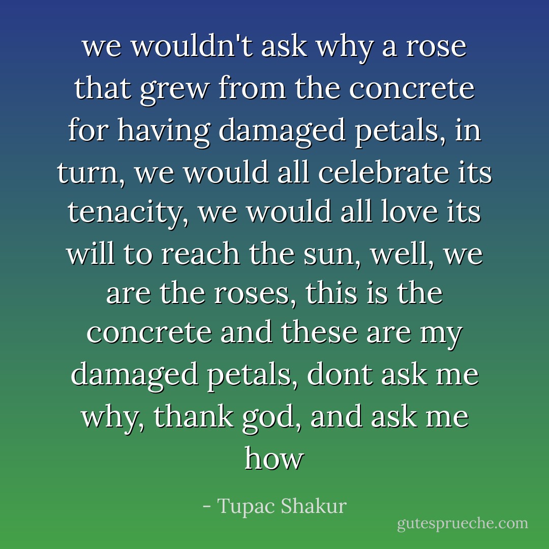 we wouldn't ask why a rose that grew from the concrete for having damaged petals, in turn, we would all celebrate its tenacity, we would all love its will to reach the sun, well, we are the roses, this is the concrete and these are my damaged petals, dont ask me why, thank god, and ask me how - Tupac Shakur