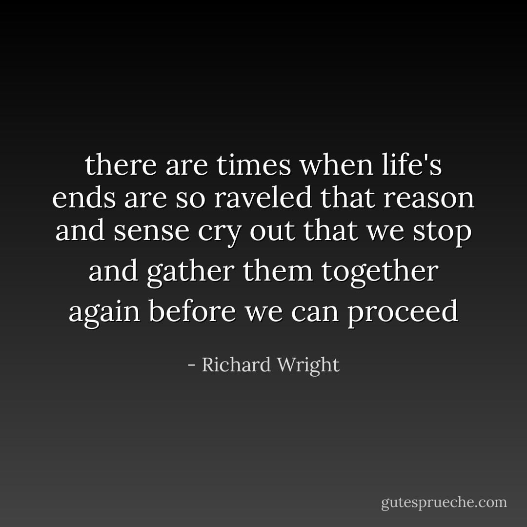 there are times when life's ends are so raveled that reason and sense cry out that we stop and gather them together again before we can proceed - Richard Wright
