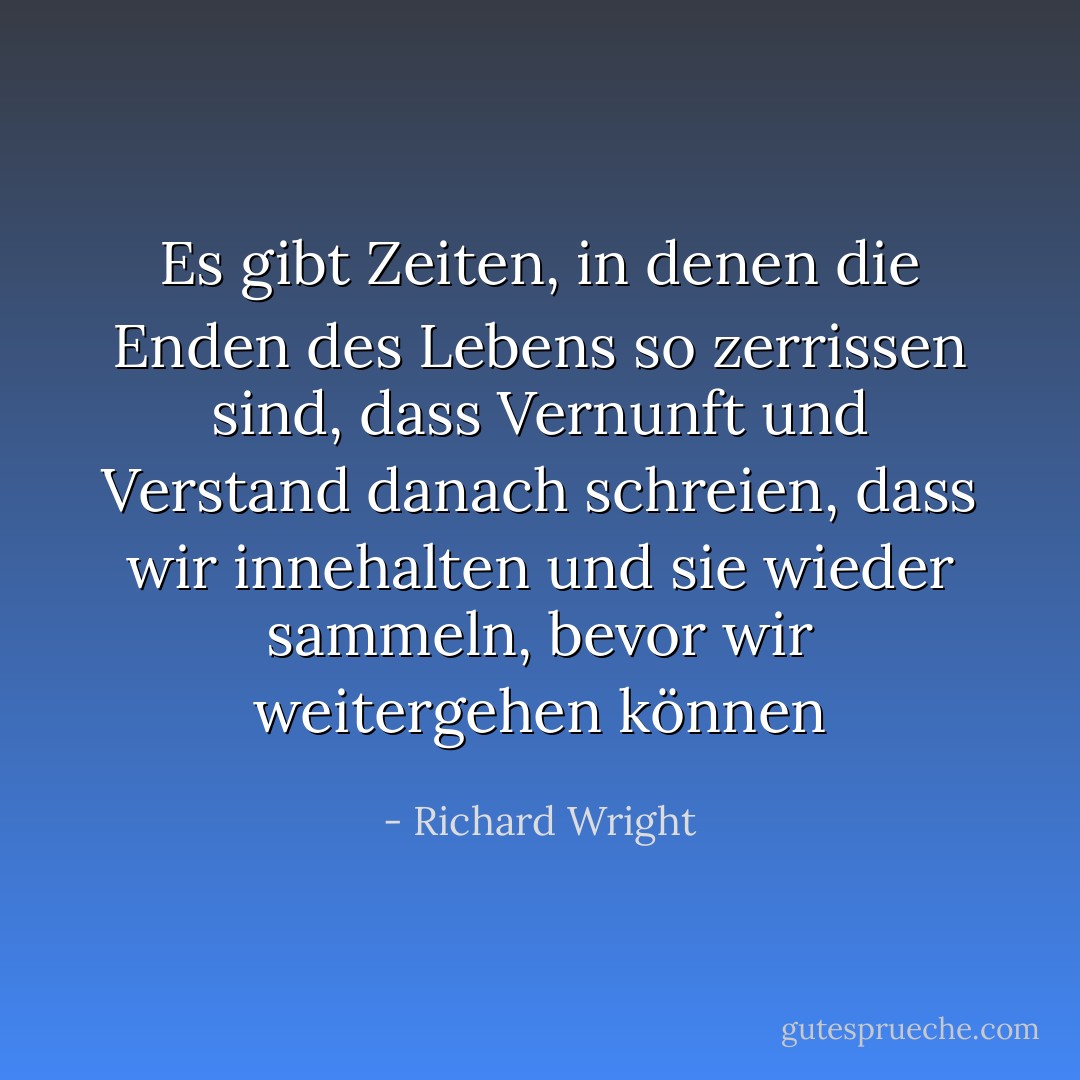 Es gibt Zeiten, in denen die Enden des Lebens so zerrissen sind, dass Vernunft und Verstand danach schreien, dass wir innehalten und sie wieder sammeln, bevor wir weitergehen können - Richard Wright<