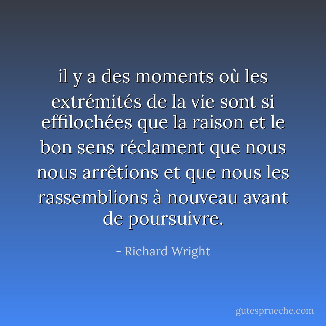 il y a des moments où les extrémités de la vie sont si effilochées que la raison et le bon sens réclament que nous nous arrêtions et que nous les rassemblions à nouveau avant de poursuivre. - Richard Wright