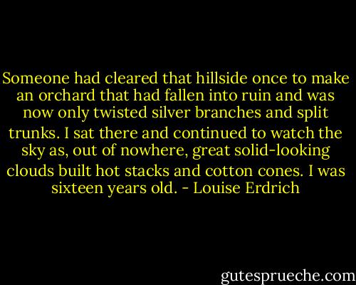 Someone had cleared that hillside once to make an orchard that had fallen into ruin and was now only twisted silver branches and split trunks. I sat there and continued to watch the sky as, out of nowhere, great solid-looking clouds built hot stacks and cotton cones. I was sixteen years old. - Louise Erdrich