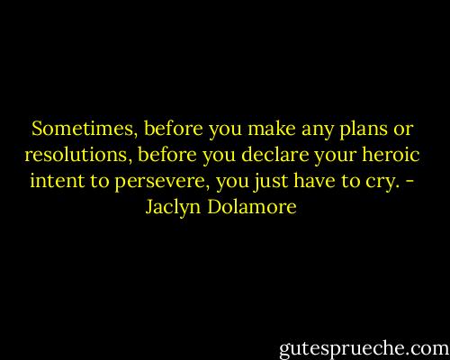 Sometimes, before you make any plans or resolutions, before you declare your heroic intent to persevere, you just have to cry. - Jaclyn Dolamore