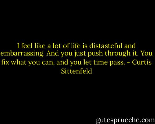 I feel like a lot of life is distasteful and embarrassing. And you just push through it. You fix what you can, and you let time pass. - Curtis Sittenfeld