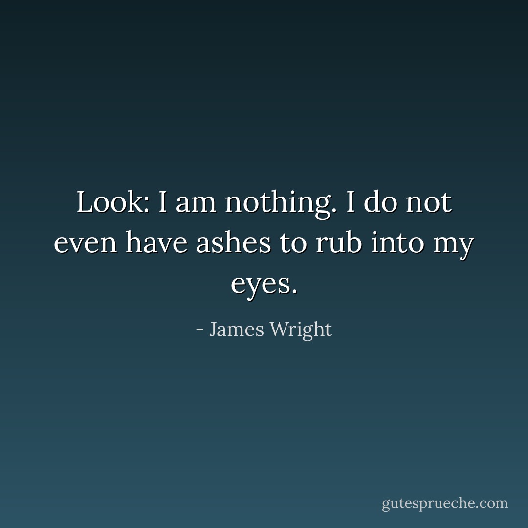 Look: I am nothing.<br />I do not even have ashes to rub into my eyes. - James Wright