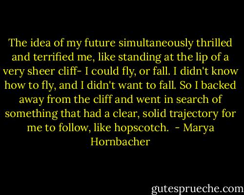 The idea of my future simultaneously thrilled and terrified me, like standing at the lip of a very sheer cliff- I could fly, or fall. I didn't know how to fly, and I didn't want to fall. So I backed away from the cliff and went in search of something that had a clear, solid trajectory for me to follow, like hopscotch.  - Marya Hornbacher