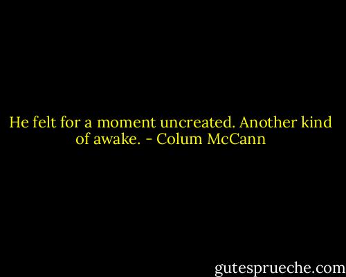He felt for a moment uncreated. Another kind of awake. - Colum McCann