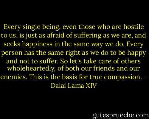 Every single being, even those who are hostile to us, is just as afraid of suffering as we are, and seeks happiness in the same way we do. Every person has the same right as we do to be happy and not to suffer. So let's take care of others wholeheartedly, of both our friends and our enemies. This is the basis for true compassion. - Dalai Lama XIV