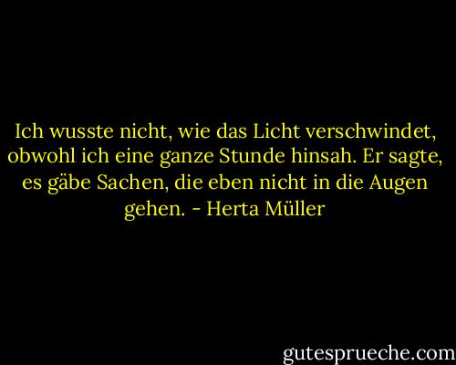 Ich wusste nicht, wie das Licht verschwindet, obwohl ich eine ganze Stunde hinsah. Er sagte, es gäbe Sachen, die eben nicht in die Augen gehen. - Herta Müller