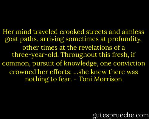 Her mind traveled crooked streets and aimless goat paths, arriving sometimes at profundity, other times at the revelations of a three-year-old. Throughout this fresh, if common, pursuit of knowledge, one conviction crowned her efforts: ...she knew there was nothing to fear. - Toni Morrison