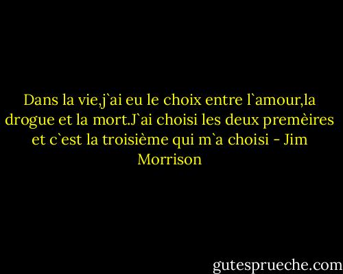 Dans la vie,j`ai eu le choix entre l`amour,la drogue et la mort.J`ai choisi les deux premèires et c`est la troisième qui m`a choisi - Jim Morrison