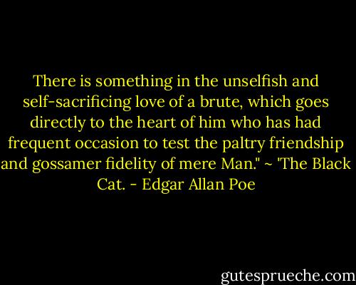 There is something in the unselfish and self-sacrificing love of a brute, which goes directly to the heart of him who has had frequent occasion to test the paltry friendship and gossamer fidelity of mere Man." ~ 'The Black Cat. - Edgar Allan Poe