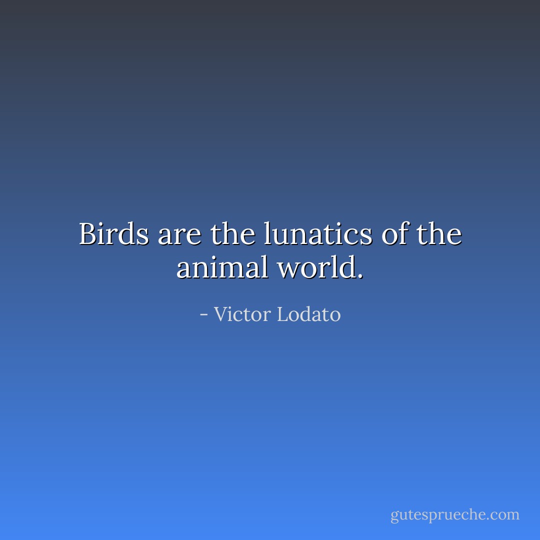 Birds are the lunatics of the animal world. - Victor Lodato