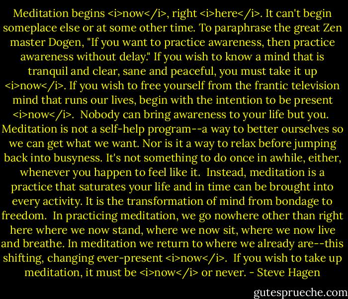 Meditation begins <i>now</i>, right <i>here</i>. It can't begin someplace else or at some other time. To paraphrase the great Zen master Dogen, "If you want to practice awareness, then practice awareness without delay." If you wish to know a mind that is tranquil and clear, sane and peaceful, you must take it up <i>now</i>. If you wish to free yourself from the frantic television mind that runs our lives, begin with the intention to be present <i>now</i>.<br /><br />Nobody can bring awareness to your life but you.<br /><br />Meditation is not a self-help program--a way to better ourselves so we can get what we want. Nor is it a way to relax before jumping back into busyness. It's not something to do once in awhile, either, whenever you happen to feel like it.<br /><br />Instead, meditation is a practice that saturates your life and in time can be brought into every activity. It is the transformation of mind from bondage to freedom.<br /><br />In practicing meditation, we go nowhere other than right here where we now stand, where we now sit, where we now live and breathe. In meditation we return to where we already are--this shifting, changing ever-present <i>now</i>.<br /><br />If you wish to take up meditation, it must be <i>now</i> or never. - Steve Hagen