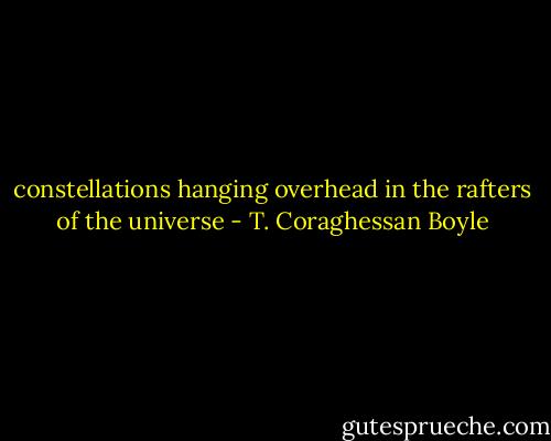 constellations hanging overhead in the rafters of the universe - T. Coraghessan Boyle
