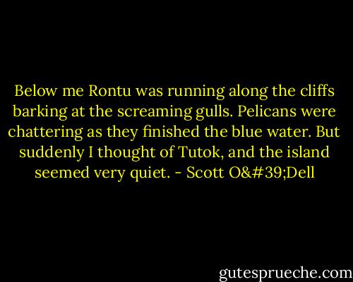 Below me Rontu was running along the cliffs barking at the screaming gulls. Pelicans were chattering as they finished the blue water. But suddenly I thought of Tutok, and the island seemed very quiet. - Scott O'Dell