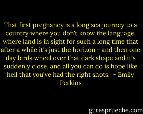 That first pregnancy is a long sea journey to a country where you don't know the language, where land is in sight for such a long time that after a while it's just the horizon - and then one day birds wheel over that dark shape and it's suddenly close, and all you can do is hope like hell that you've had the right shots.  - Emily Perkins