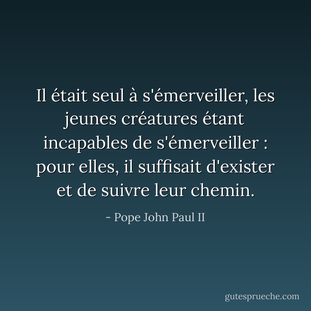 Il était seul à s'émerveiller, les jeunes créatures étant incapables de s'émerveiller : pour elles, il suffisait d'exister et de suivre leur chemin. - Pope John Paul II