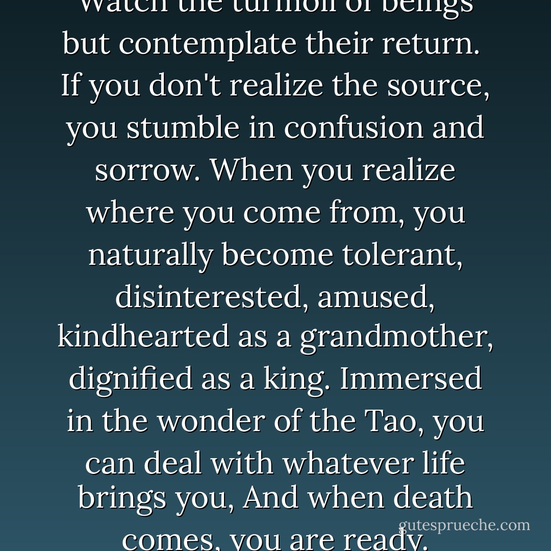 Let your heart be at peace.<br />Watch the turmoil of beings<br />but contemplate their return.<br /><br />If you don't realize the source,<br />you stumble in confusion and sorrow.<br />When you realize where you come from,<br />you naturally become tolerant,<br />disinterested, amused,<br />kindhearted as a grandmother,<br />dignified as a king.<br />Immersed in the wonder of the Tao,<br />you can deal with whatever life brings you,<br />And when death comes, you are ready. - Zhuangzi