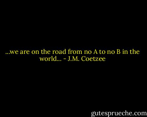 ...we are on the road from no A to no B in the world... - J.M. Coetzee