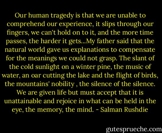 Our human tragedy is that we are unable to comprehend our experience, it slips through our fingers, we can't hold on to it, and the more time passes, the harder it gets...My father said that the natural world gave us explanations to compensate for the meanings we could not grasp. The slant of the cold sunlight on a winter pine, the music of water, an oar cutting the lake and the flight of birds, the mountains' nobility , the silence of the silence. We are given life but must accept that it is unattainable and rejoice in what can be held in the eye, the memory, the mind. - Salman Rushdie