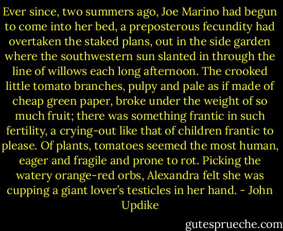 Ever since, two summers ago, Joe Marino had begun to come into her bed, a preposterous fecundity had overtaken the staked plans, out in the side garden where the southwestern sun slanted in through the line of willows each long afternoon. The crooked little tomato branches, pulpy and pale as if made of cheap green paper, broke under the weight of so much fruit; there was something frantic in such fertility, a crying-out like that of children frantic to please. Of plants, tomatoes seemed the most human, eager and fragile and prone to rot. Picking the watery orange-red orbs, Alexandra felt she was cupping a giant lover’s testicles in her hand. - John Updike
