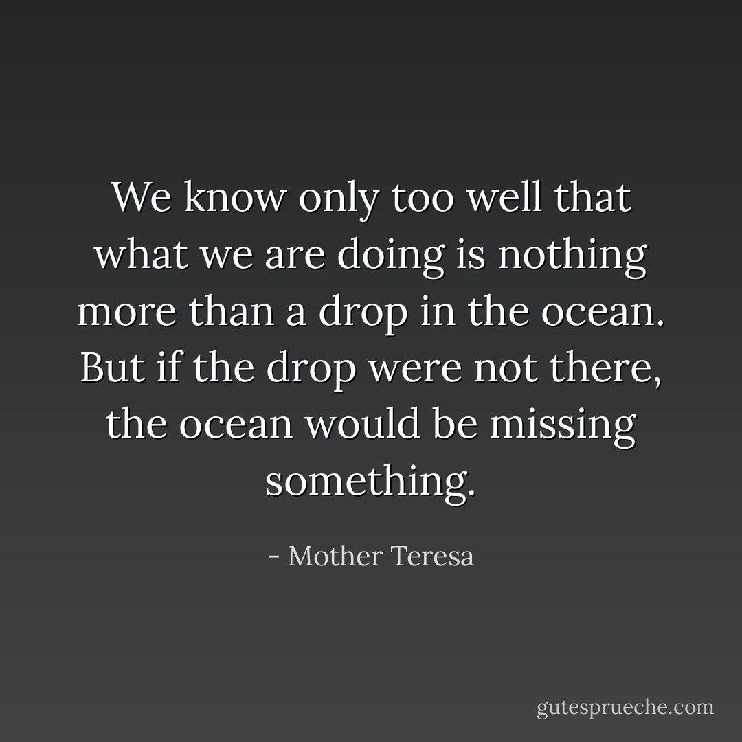 We know only too well that what we are doing is nothing more than a drop in the ocean. But if the drop were not there, the ocean would be missing something. - Mother Teresa