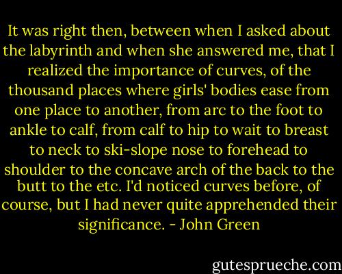 It was right then, between when I asked about the labyrinth and when she answered me, that I realized the importance of curves, of the thousand places where girls' bodies ease from one place to another, from arc to the foot to ankle to calf, from calf to hip to wait to breast to neck to ski-slope nose to forehead to shoulder to the concave arch of the back to the butt to the etc. I'd noticed curves before, of course, but I had never quite apprehended their significance. - John Green