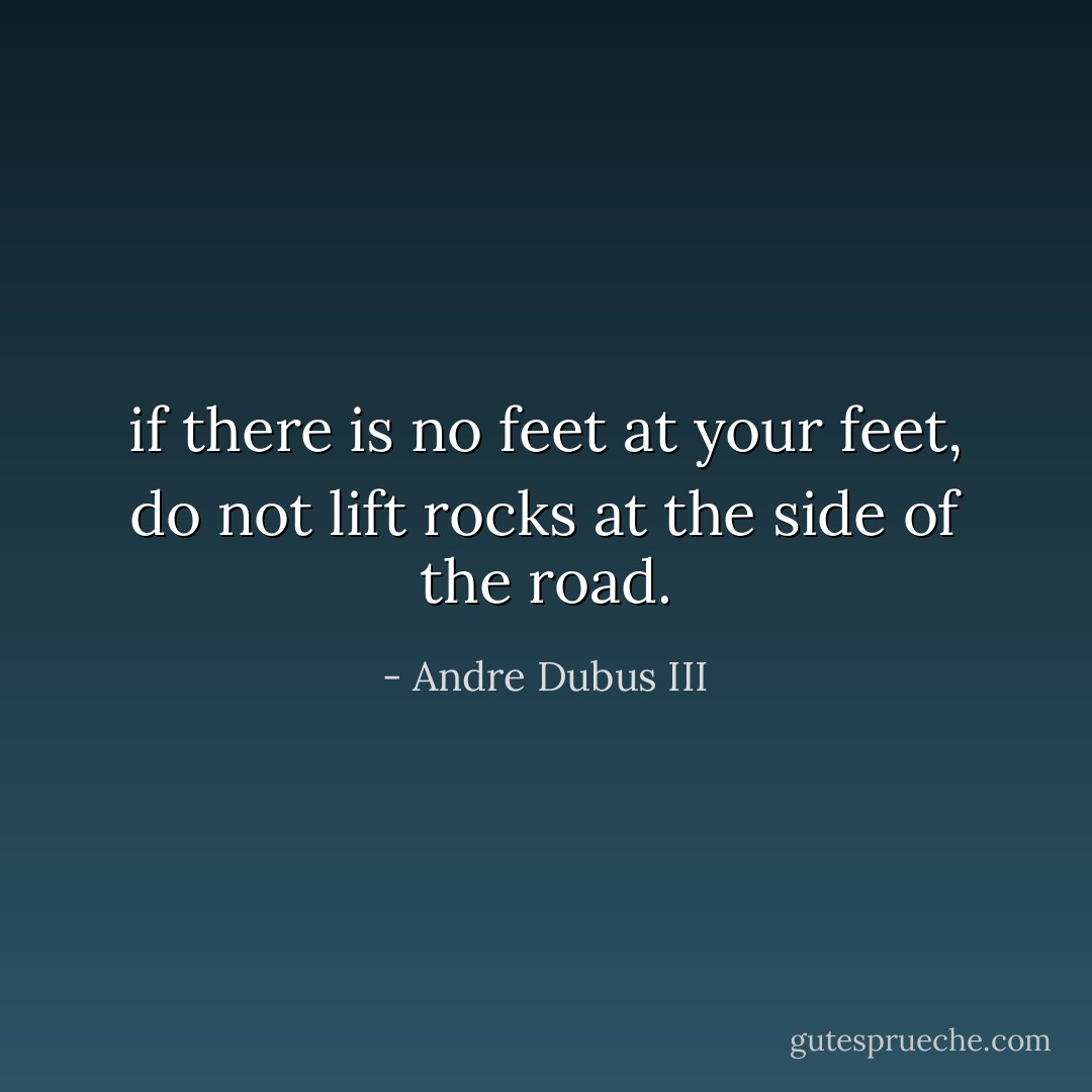 if there is no feet at your feet, do not lift rocks at the side of the road. - Andre Dubus III