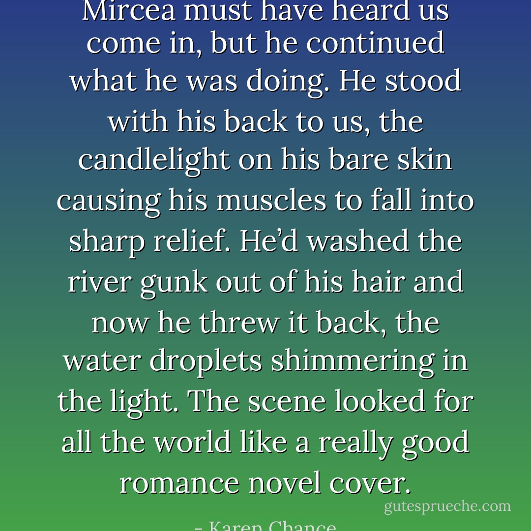 Mircea must have heard us come in, but he continued what he was doing.<br />He stood with his back to us, the candlelight on his bare skin causing his muscles to fall into sharp relief. He’d washed the river gunk out of his hair and now he threw it back, the water droplets shimmering in the light. The scene looked for all the world like a really good romance novel cover. - Karen Chance